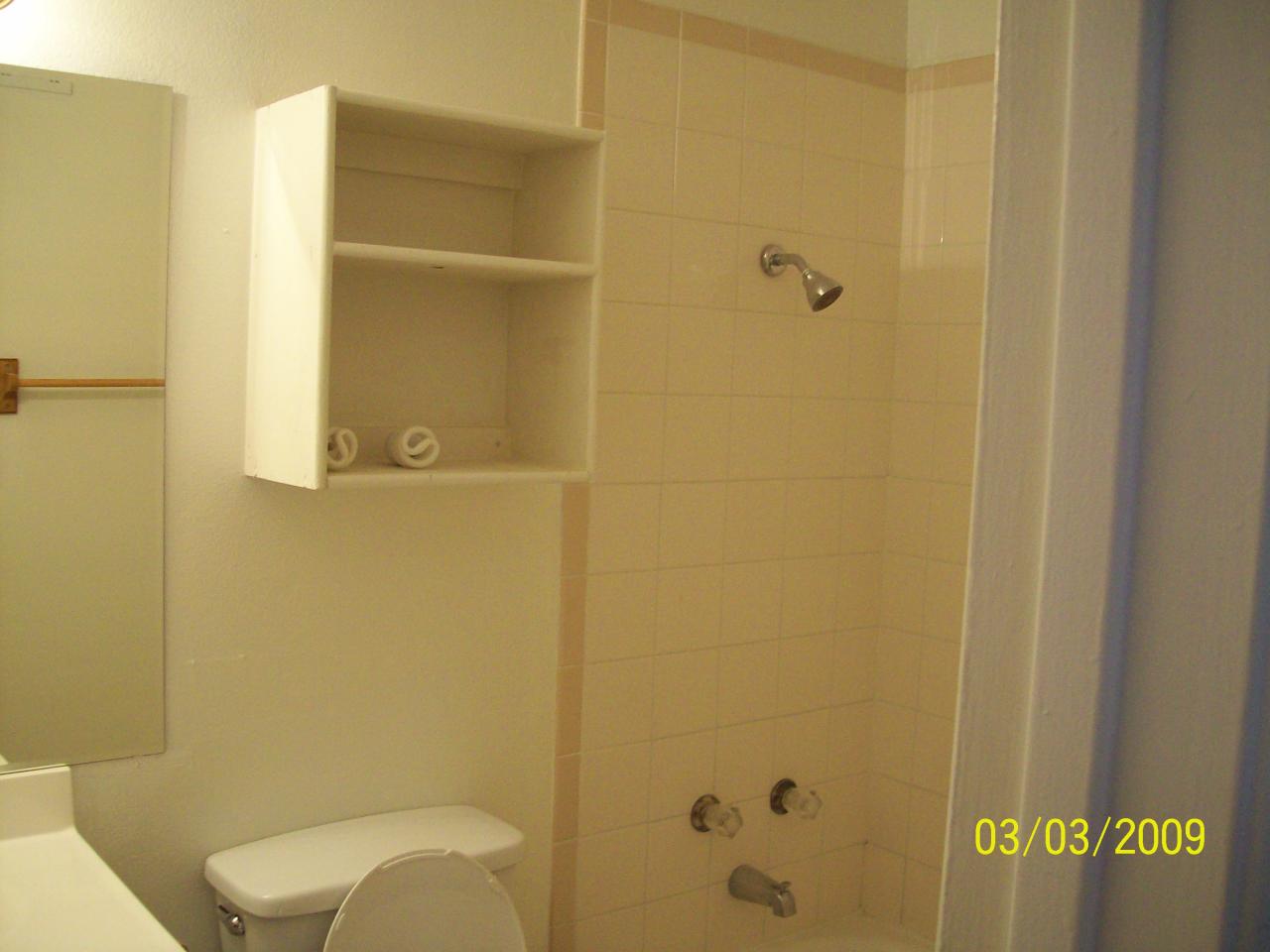 3610 East Hearn Road Phoenix, AZ 85032 - Photo 5 of 5 bathroom