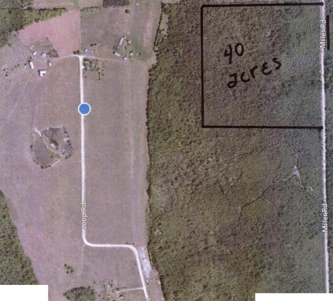 Miller Road Posen, MI 49776 - Photo 1 of 2 Gallery Image 1