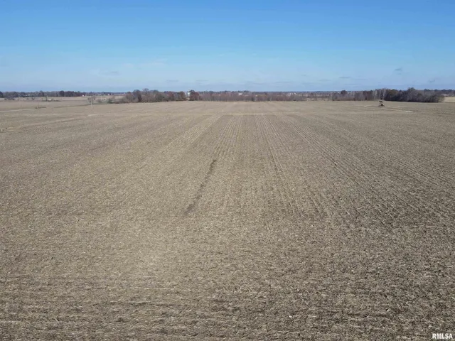 $1 | 1741 East 1850 Avenue, Brownstown, IL 62418