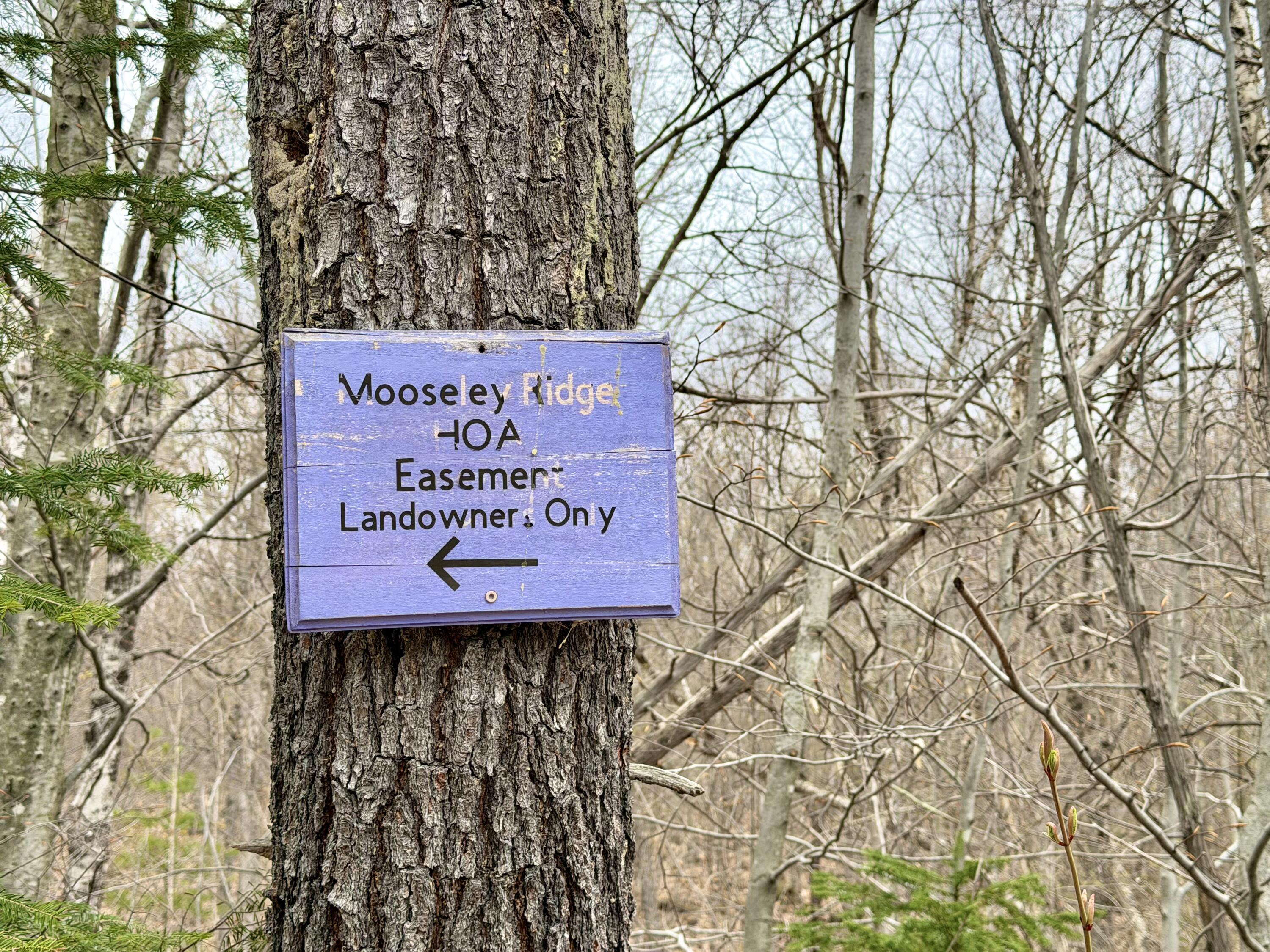 Lot 2 Mooseley Ridge Road Phillips, ME 04966 - Photo 17 of 24