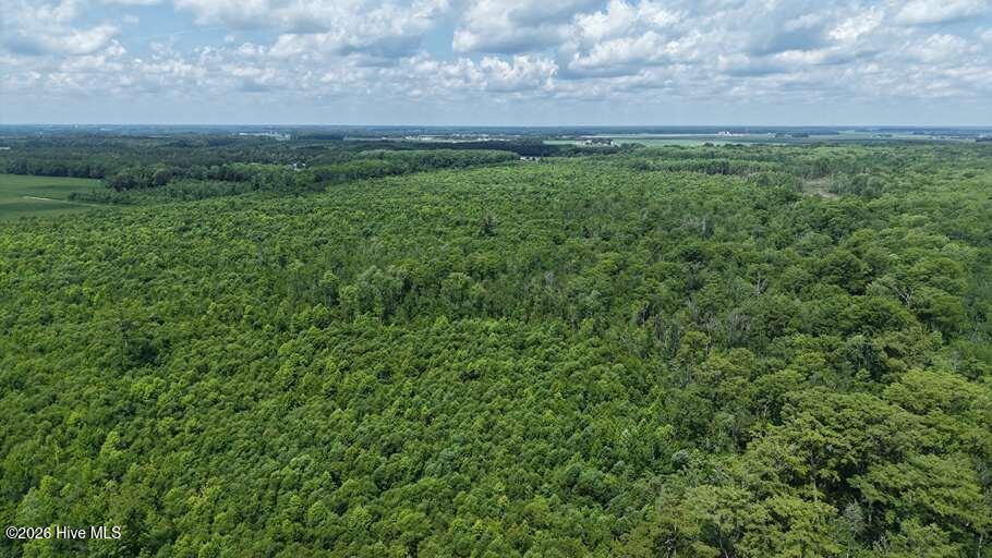 0 North River Road Camden, NC 27921 - Photo 33 of 50