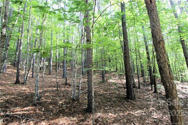 0 Chasewood Drive, Unit 8 Rutherfordton, NC 28139 - Photo 4 of 16