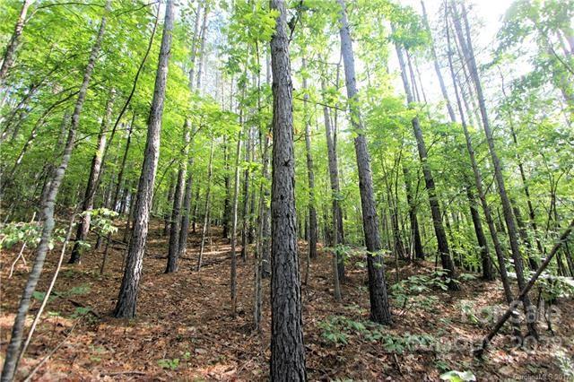 0 Chasewood Drive, Unit 8 Rutherfordton, NC 28139 - Photo 5 of 16 a view of outdoor space and green space