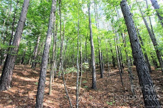 0 Chasewood Drive, Unit 8 Rutherfordton, NC 28139 - Photo 6 of 16 a view of a forest