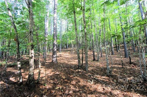 0 Chasewood Drive, Unit 8 Rutherfordton, NC 28139 - Photo 7 of 16 a view of outdoor space with lots of trees