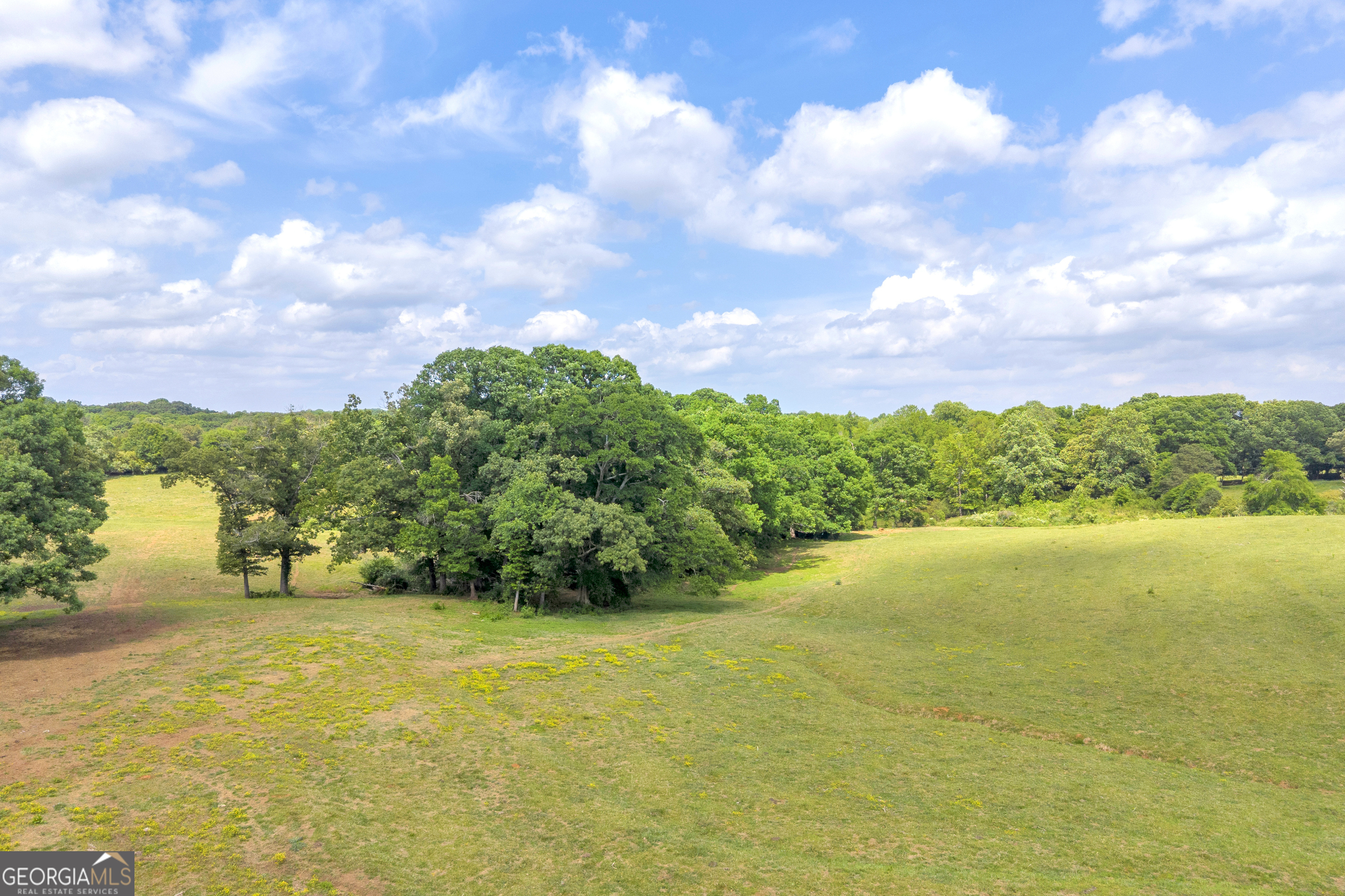 6490 Highway 145 Carnesville, GA 30521 - Photo 28 of 29 a view of an ocean and beach