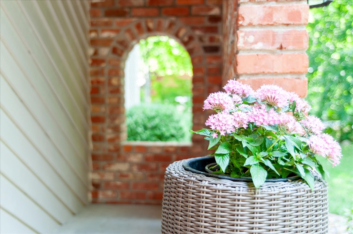 21 Bent Tree Lane Towanda, IL 61776 - Photo 41 of 49 a potted plant sitting in front of a window