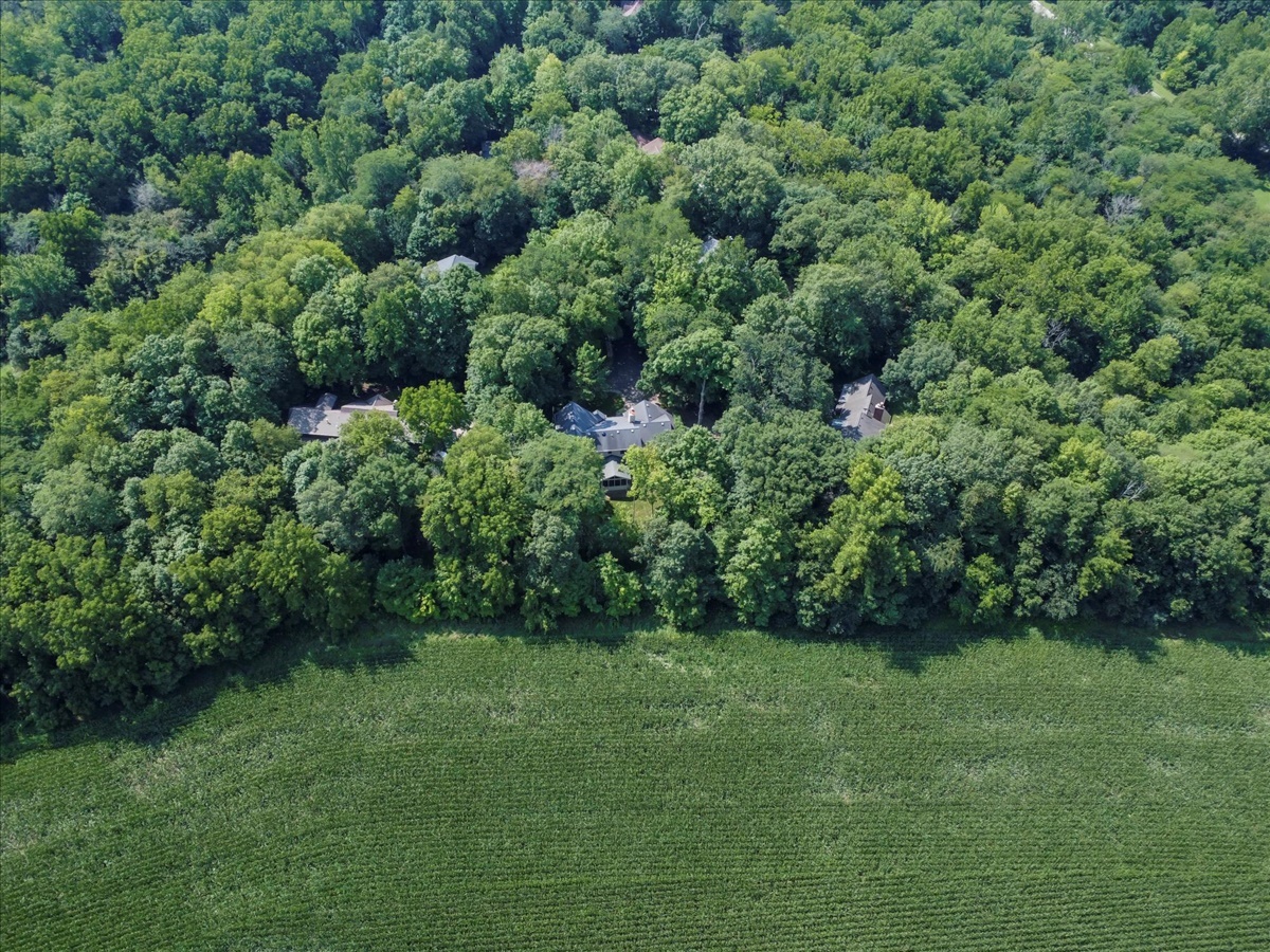 21 Bent Tree Lane Towanda, IL 61776 - Photo 46 of 49 a view of a lush green forest with lawn chairs and a bench