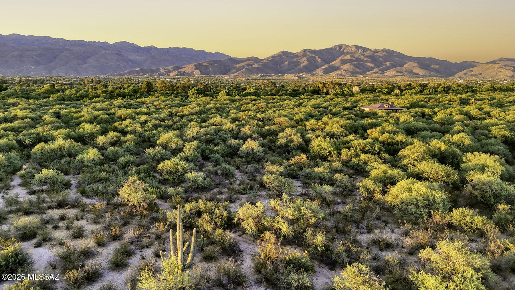 1242 North Freeman Road, Unit 5 ACRE Tucson, AZ 85749 - Photo 7 of 20 Natural Desert