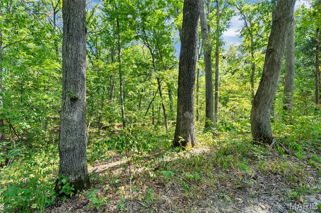 $595,000 | 8995 Bammann Place, Dittmer, MO 63023