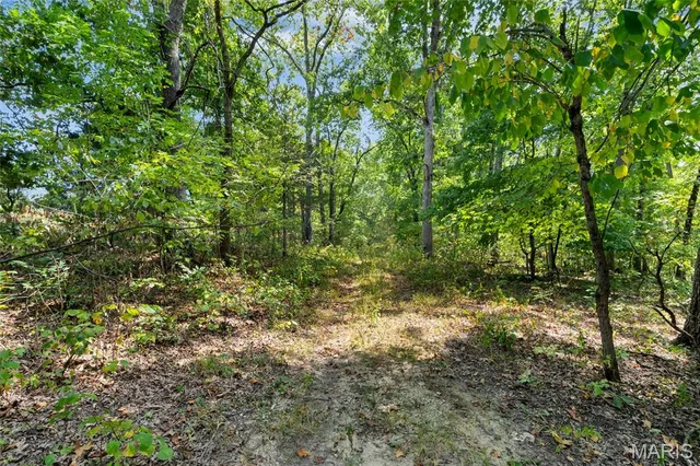 $595,000 | 8995 Bammann Place, Dittmer, MO 63023