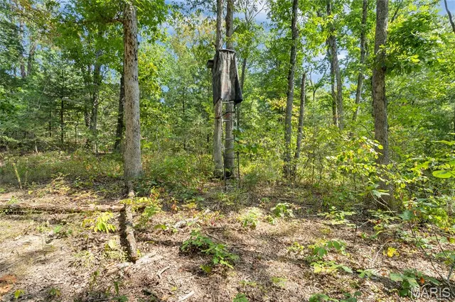 $595,000 | 8995 Bammann Place, Dittmer, MO 63023