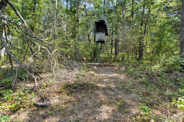 $595,000 | 8995 Bammann Place, Dittmer, MO 63023