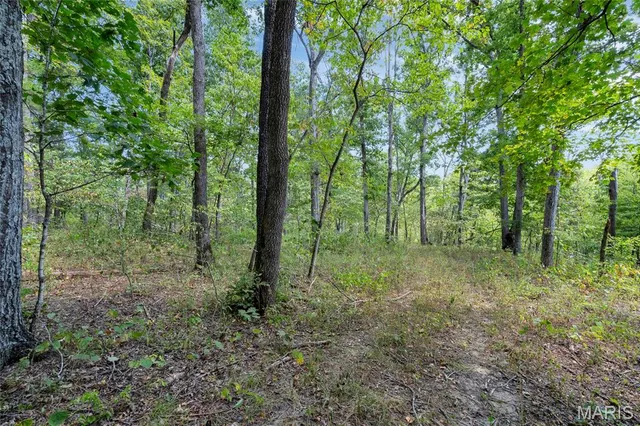 $595,000 | 8995 Bammann Place, Dittmer, MO 63023