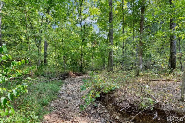 $595,000 | 8995 Bammann Place, Dittmer, MO 63023