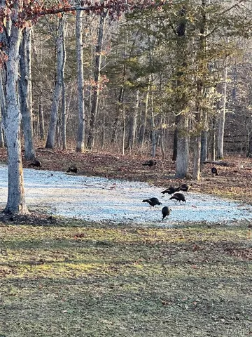 $595,000 | 8995 Bammann Place, Dittmer, MO 63023