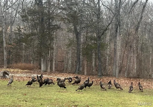 $595,000 | 8995 Bammann Place, Dittmer, MO 63023