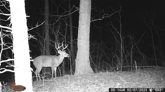 $595,000 | 8995 Bammann Place, Dittmer, MO 63023