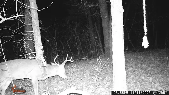 $595,000 | 8995 Bammann Place, Dittmer, MO 63023