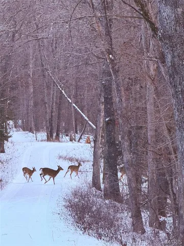 $595,000 | 8995 Bammann Place, Dittmer, MO 63023