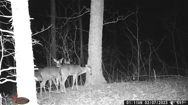 $595,000 | 8995 Bammann Place, Dittmer, MO 63023