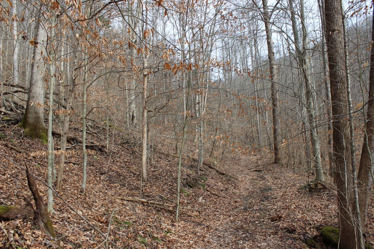 2010 Pryse Road Irvine, KY 40336 - Photo 17 of 56 Photo 17