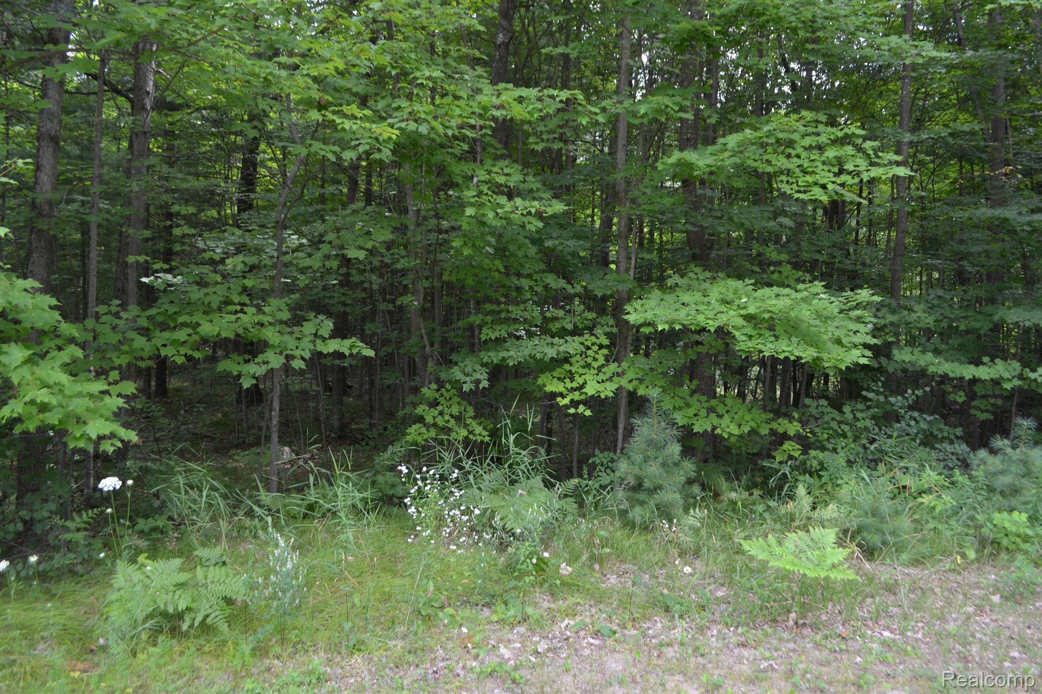4178 Hamilton Road Harrison, MI 48625 - Photo 41 of 45 Gallery Image 41