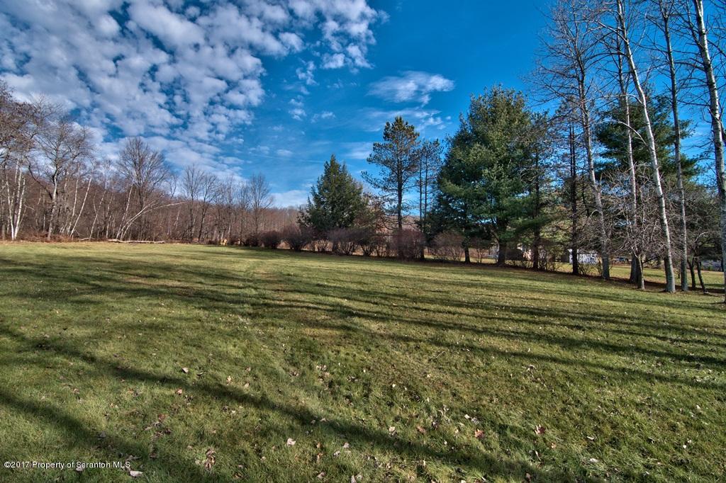132 Thomas Road Moscow, PA 18444 - Photo 35 of 46 a view of a field with trees