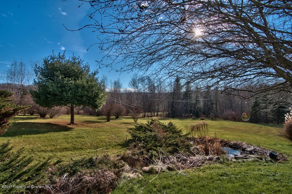 132 Thomas Road Moscow, PA 18444 - Photo 38 of 46 a backyard of a house