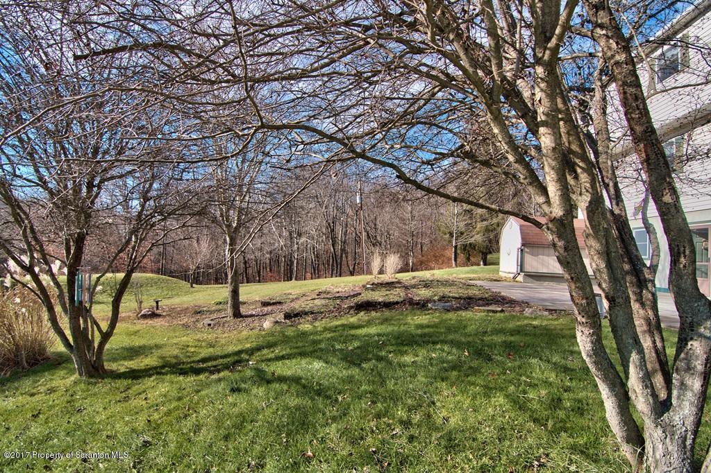 132 Thomas Road Moscow, PA 18444 - Photo 39 of 46 a view of a yard with plants and trees