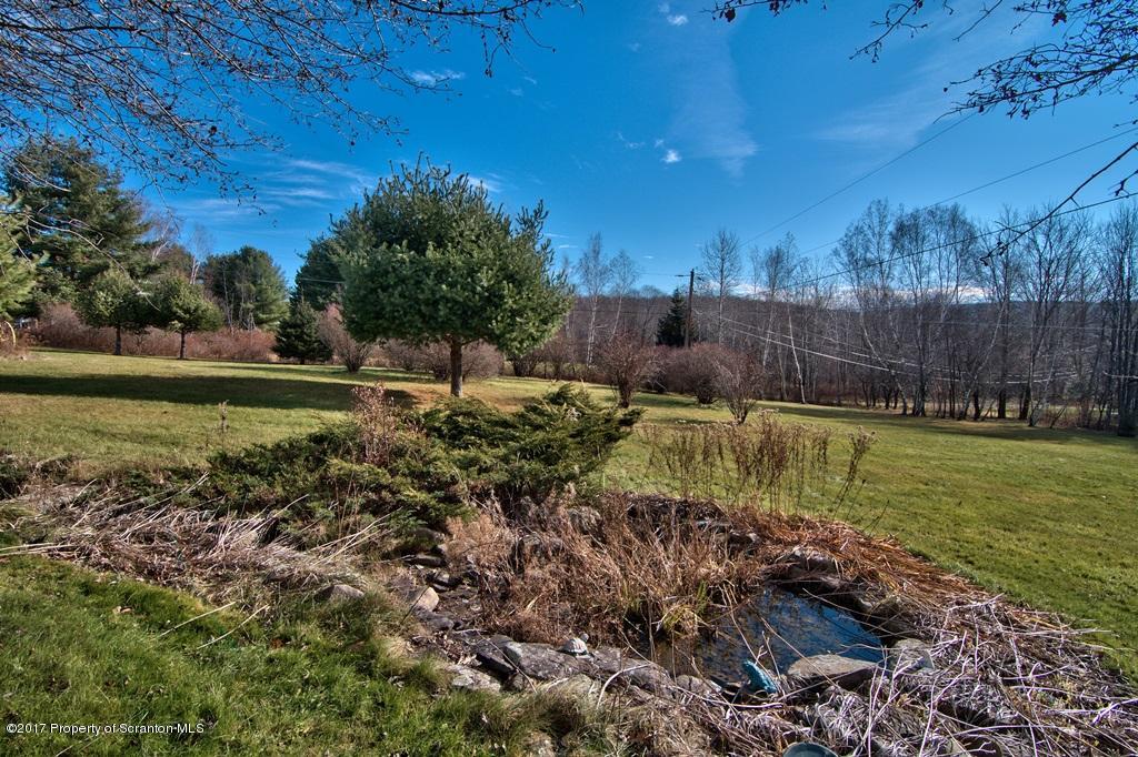 132 Thomas Road Moscow, PA 18444 - Photo 40 of 46 a view of a backyard