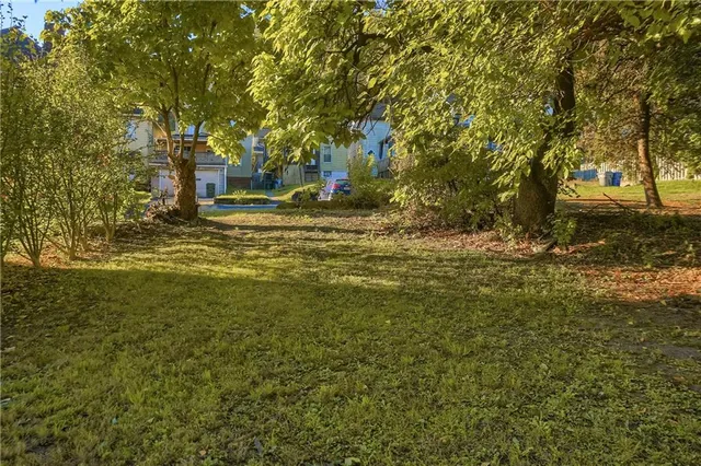 a view of a yard with trees