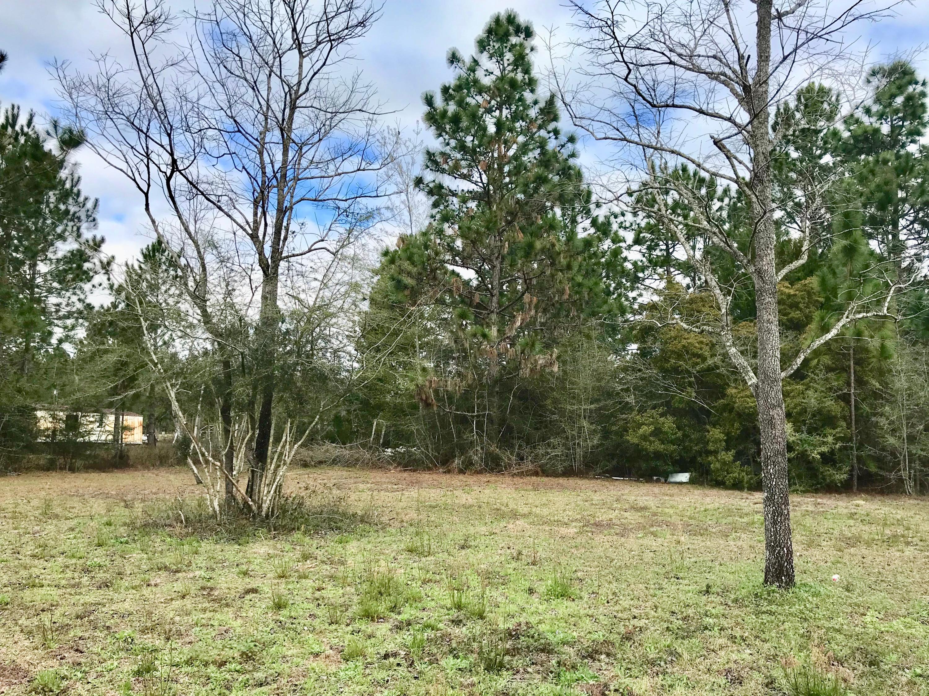9840 American Farms Road Milton, FL 32583 - Photo 38 of 42 a view of a yard with a tree