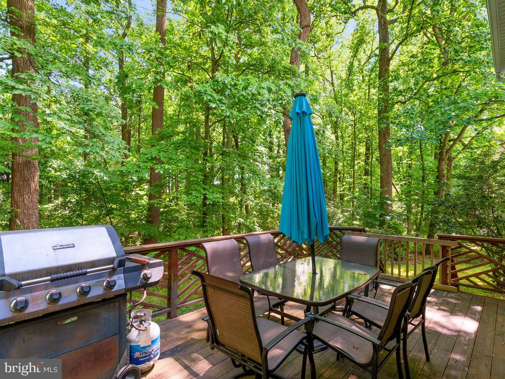 2810 Gold Mine Road Brookeville, MD 20833 - Photo 47 of 52 Gallery Image 47