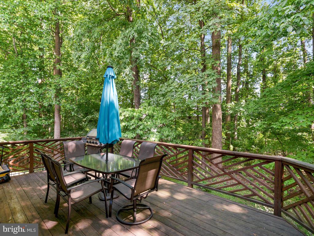 2810 Gold Mine Road Brookeville, MD 20833 - Photo 48 of 52 Gallery Image 48