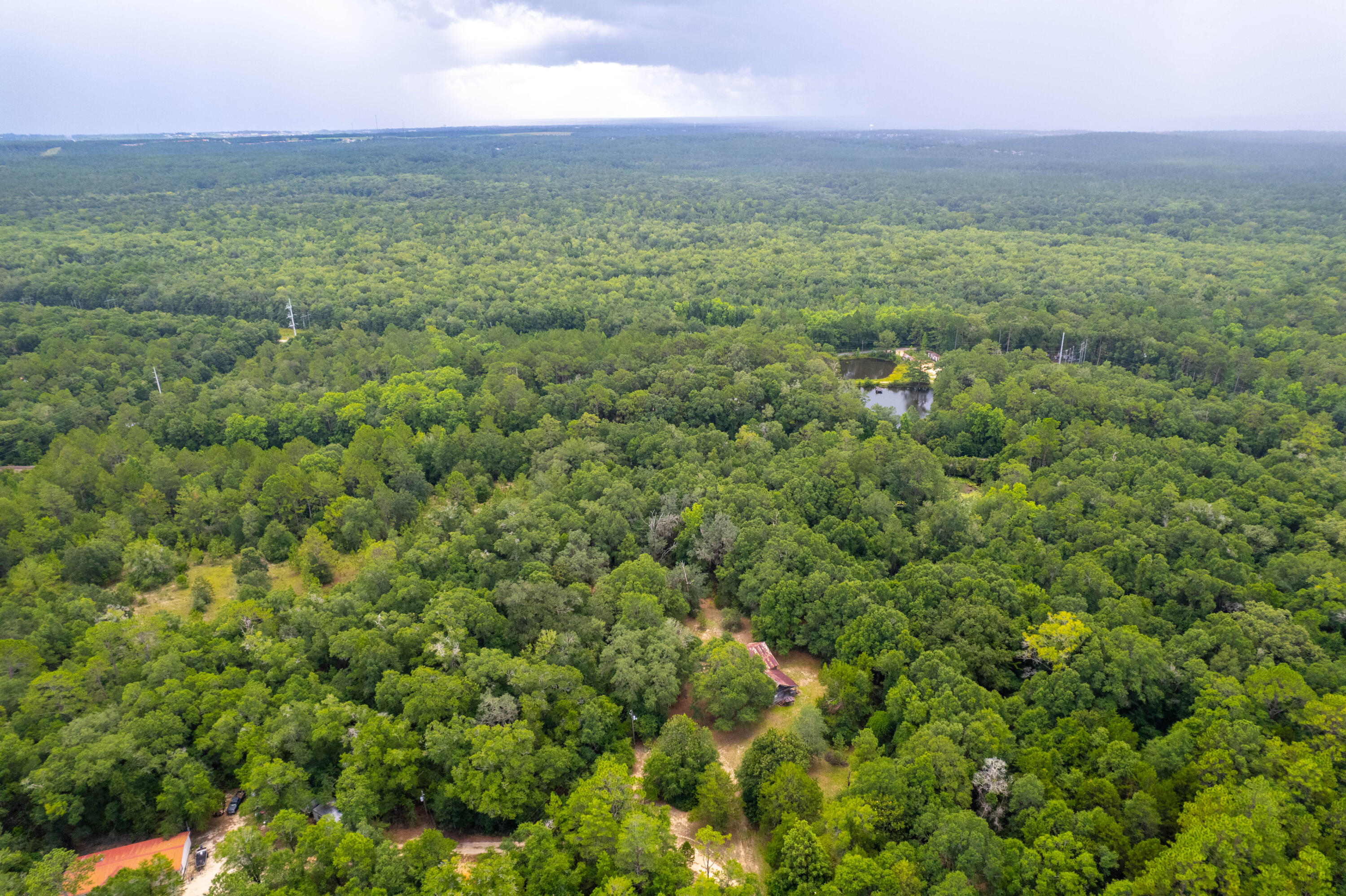 90 West Baker Baker, FL 32531 - Photo 6 of 6 a view of a green field with lots of bushes