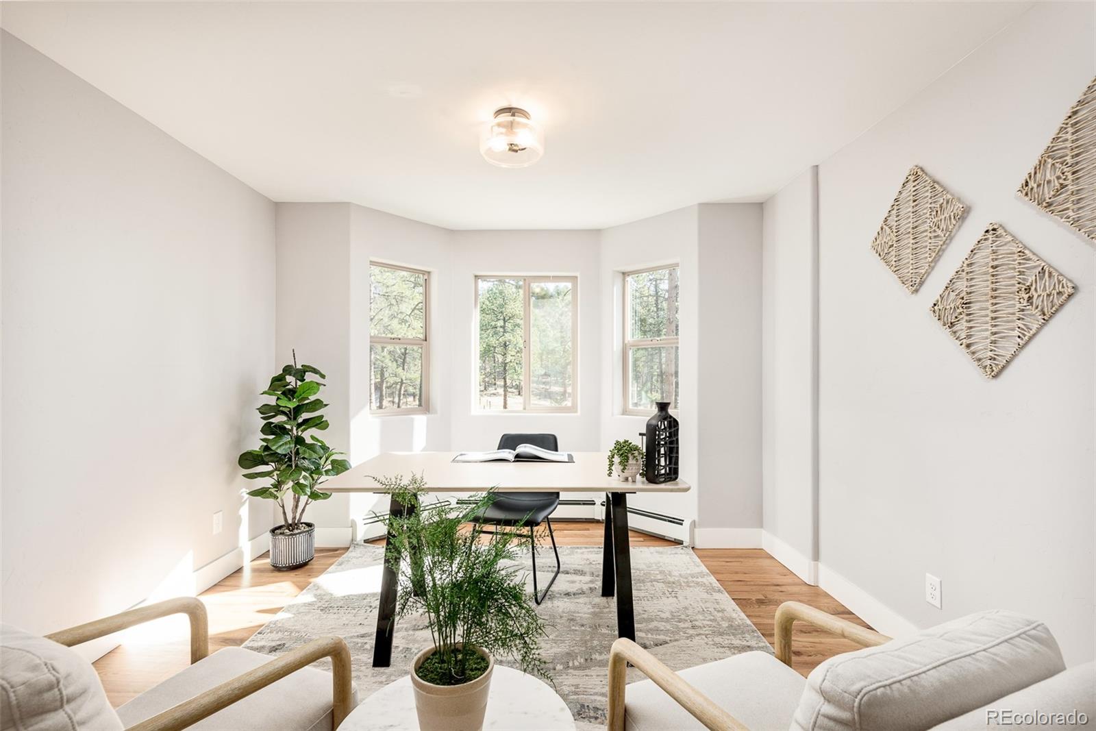 5132 Ute Road Indian Hills, CO 80454 - Photo 18 of 38 a living room with furniture and a potted plant