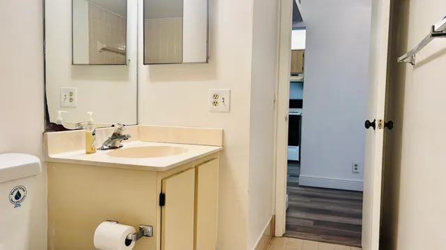 a bathroom with a sink and a mirror