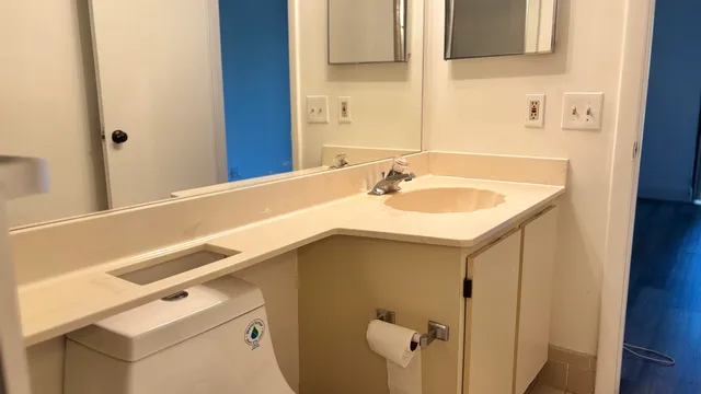 a bathroom with a sink and a mirror