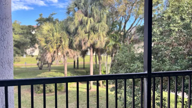a view of trees and deck in the background