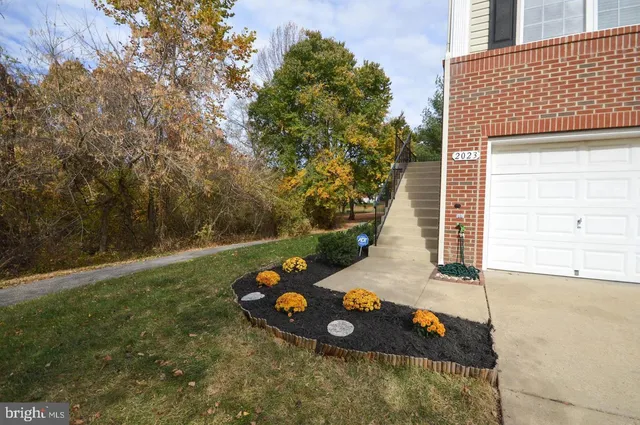a view of a tree with front of it