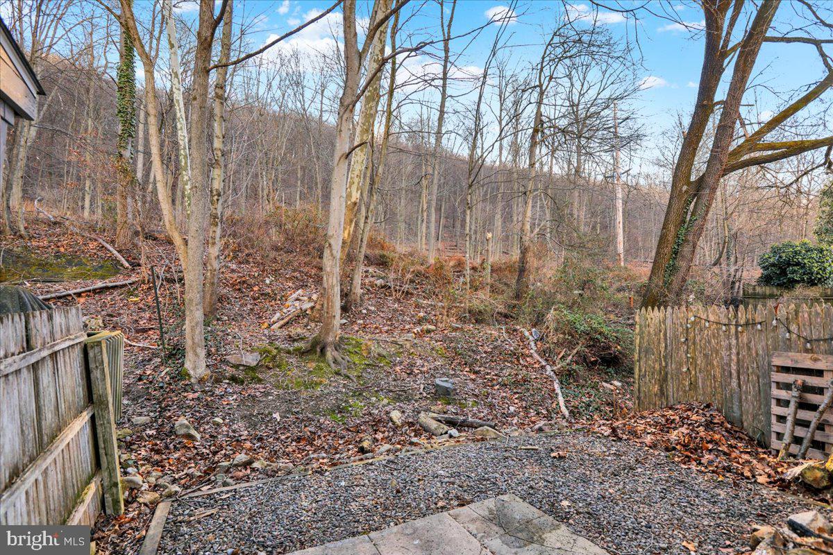 1118 Fox Run Reading, PA 19606 - Photo 19 of 19 a backyard of a house with lots of green space