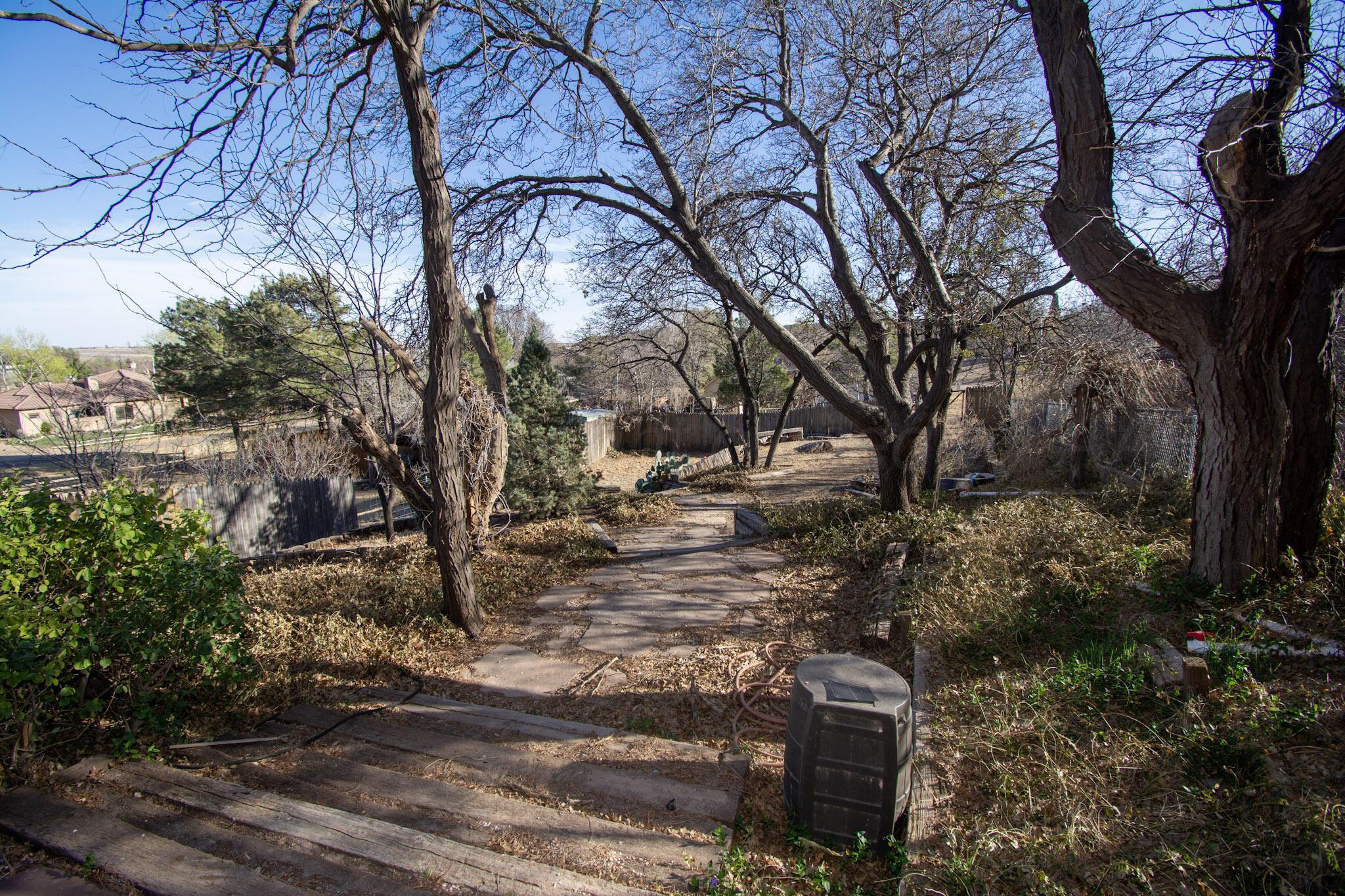 4 Windsor Road Amarillo, TX 79124 - Photo 32 of 41 a view of a yard with plants and trees
