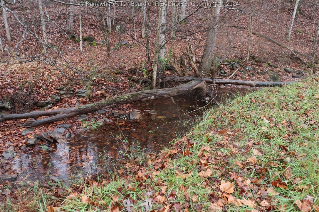 0 Colt Run Road Spencer, WV 25276 - Photo 20 of 25 Gallery Image 20