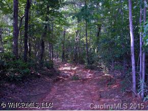 8 Christopher Road, Unit 8 Tryon, NC 28782 - Photo 5 of 5 a view of a forest with trees