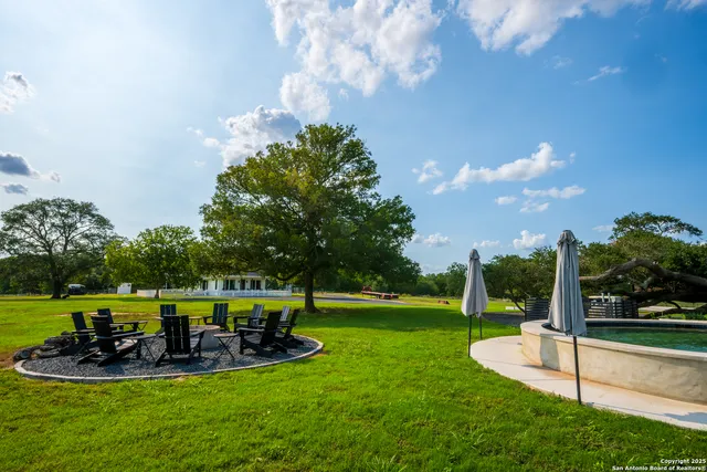 a view of a park with large trees