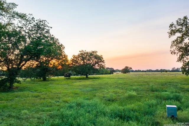 a view of a grassy field with trees