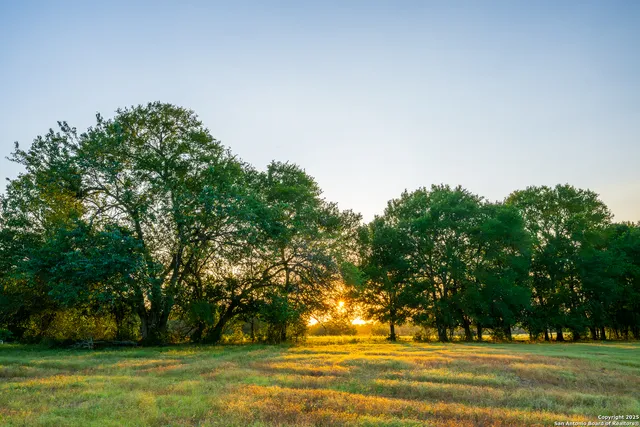 a view of yard with green space