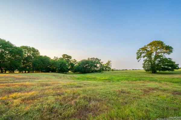 a view of a field with a trees in the background