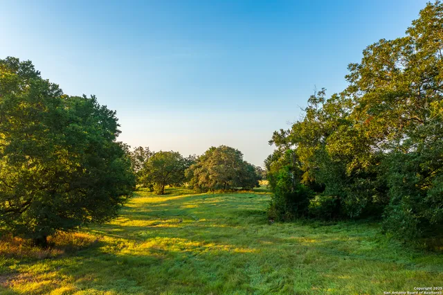 a view of a grassy field with trees in the background